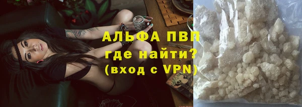 эйфоретик Горняк