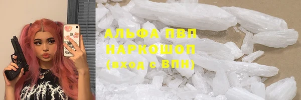 эйфоретик Горняк