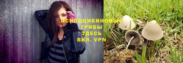 ALPHA PVP Горнозаводск