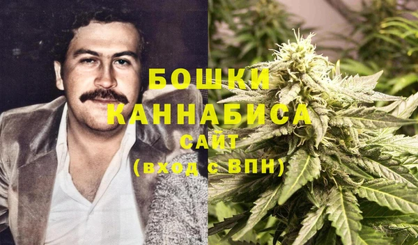 ALPHA PVP Горнозаводск