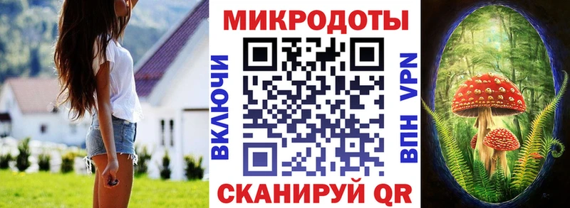 Галлюциногенные грибы прущие грибы  Облучье 